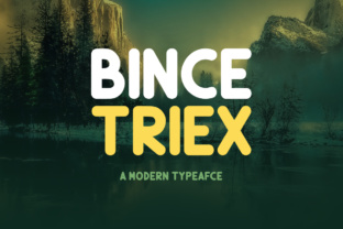 Bince Triex: A Font That Speaks Clearly