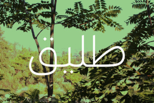 Font That Speaks Fluent: Taleeq - Arabic Typeface for Real Business Branding