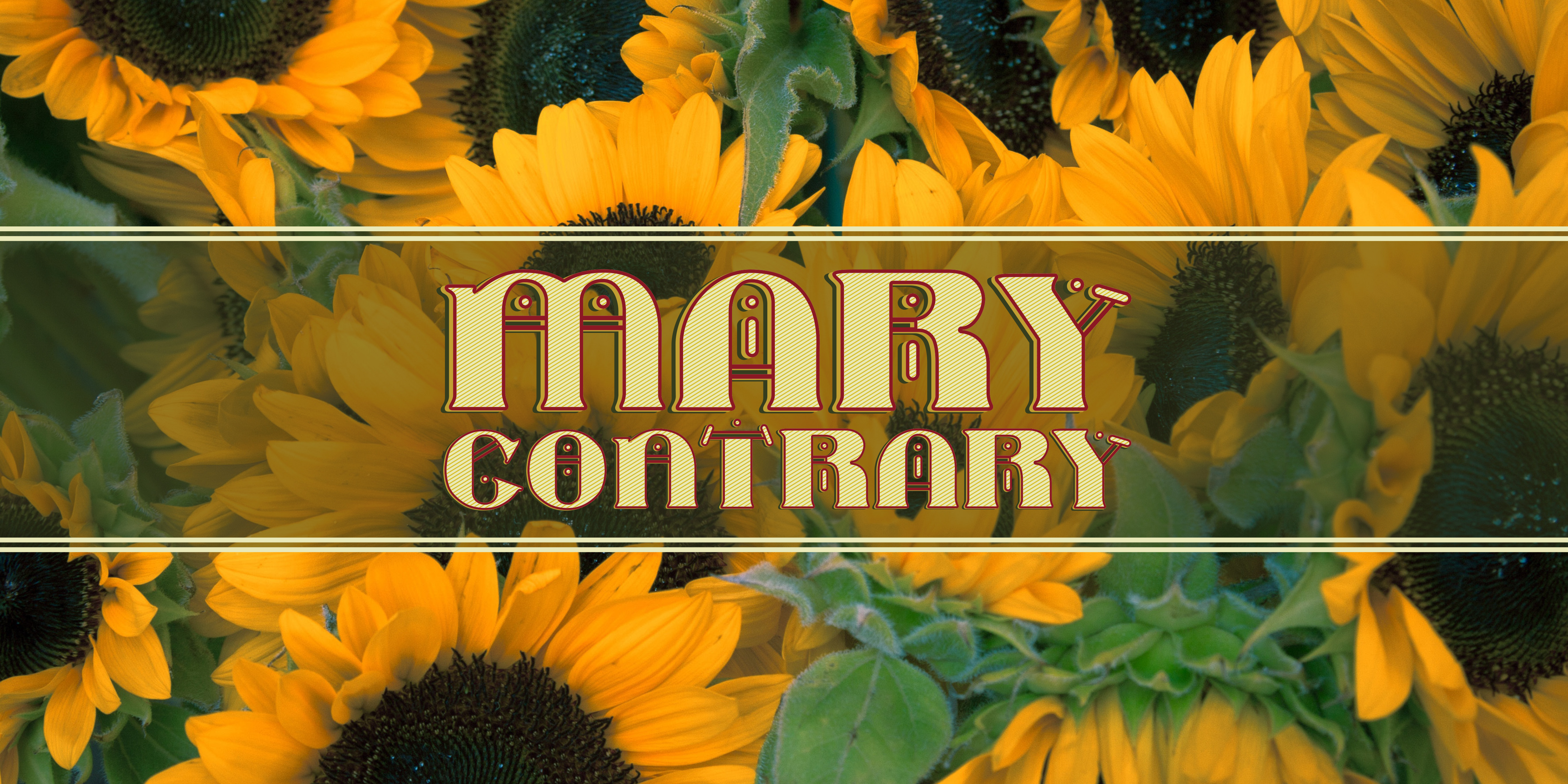 Font That Speaks Volumes: Mary Contrary for Digital Marketers