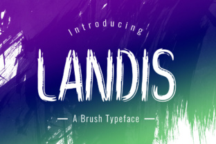 Landis: A Playful Font for Editorial Expression