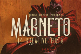 Magneto